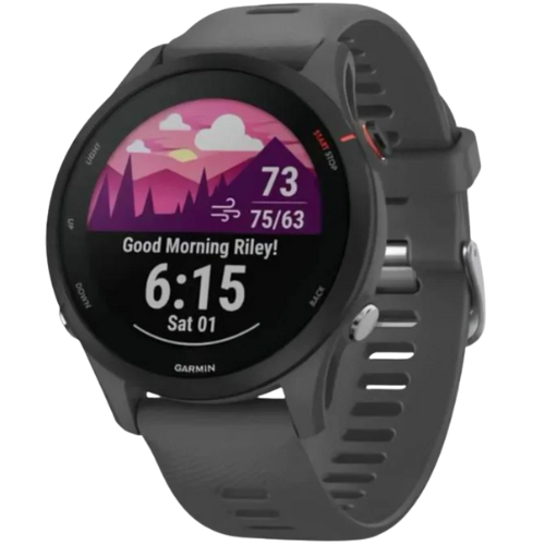 Garmin Forerunner 255